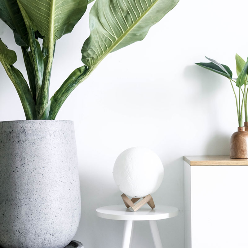 Design-Nation Publishes \&rsquo;20 Makers, 20 Objects\&rsquo;